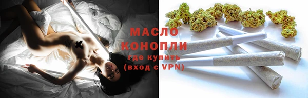 гидра Гусь-Хрустальный