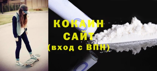 винт Гусев
