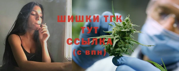 винт Гусев