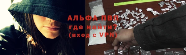 гидра Гусь-Хрустальный
