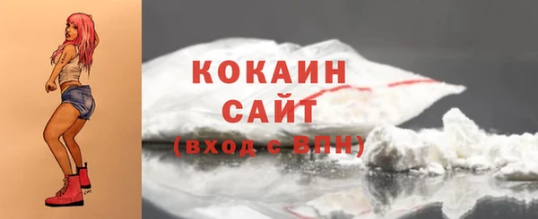 винт Гусев