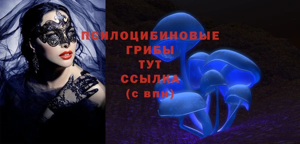 стаф Наволоки