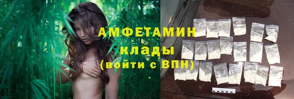 гидра Гусь-Хрустальный