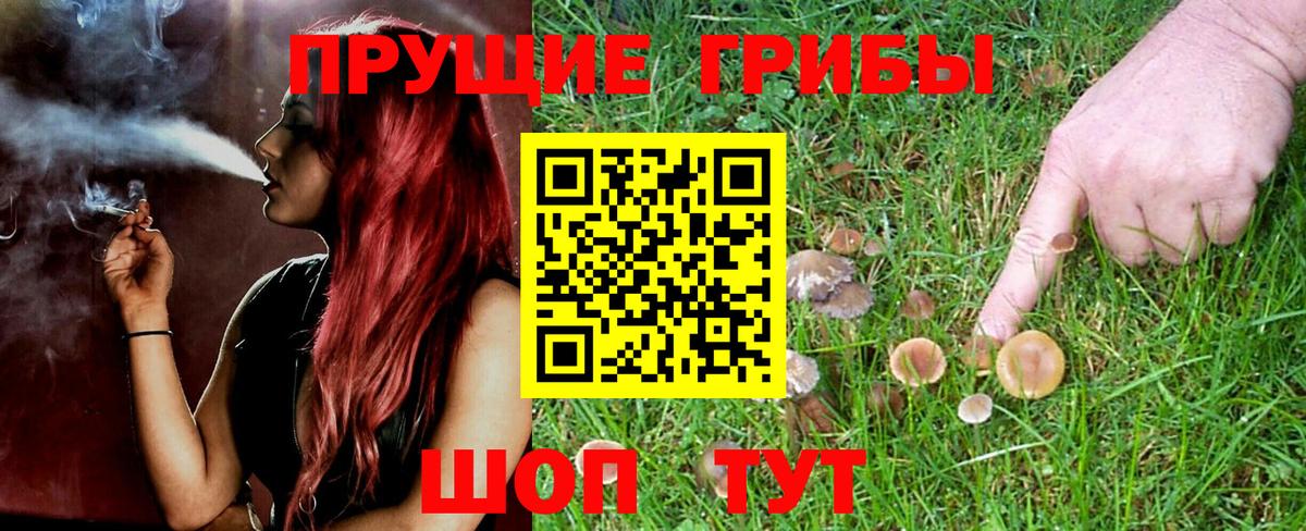 Галлюциногенные грибы MAGIC MUSHROOMS Егорьевск