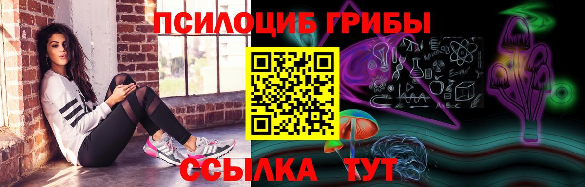 Егорьевск  Галлюциногенные грибы ЛСД  хочу наркоту  Вход с VPN 